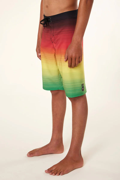 O'Neill Boy's Hyperfreak Aloha Fade Boardshort