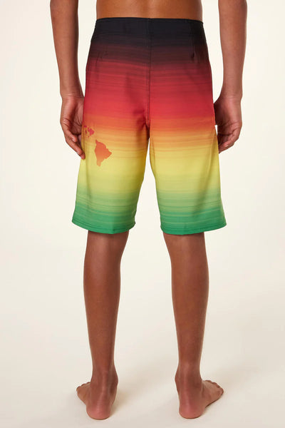 O'Neill Boy's Hyperfreak Aloha Fade Boardshort